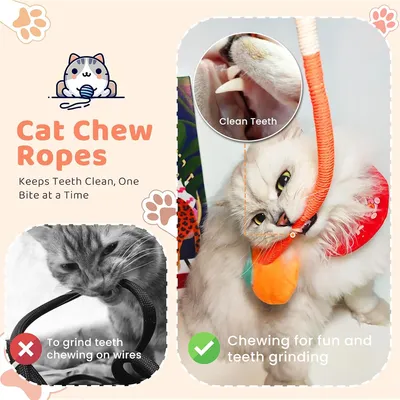 IntiMeg Jouet de dentition pour chat