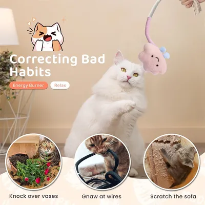 IntiMeg Jouet de dentition pour chat