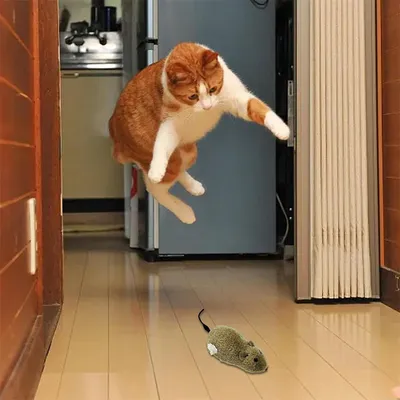 IntiMeg Jouet souris en peluche mécanique pour chat et chien