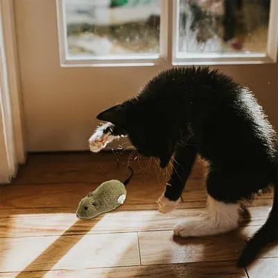 IntiMeg Jouet souris en peluche mécanique pour chat et chien