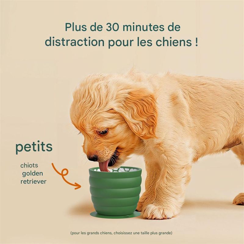 IntiMeg Bol anti - glouton pour chien