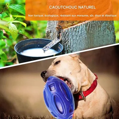 IntiMeg Jouet Ball en caoutchouc pour chien