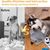 IntiMeg Jouet en peluche couineur pour chien