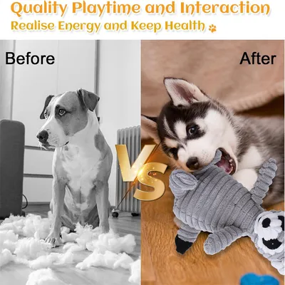 IntiMeg Jouet en peluche couineur pour chien