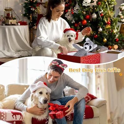 IntiMeg Jouet en peluche couineur pour chien