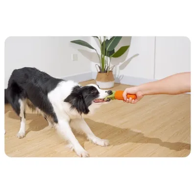 IntiMeg Carotte sonore pour chien