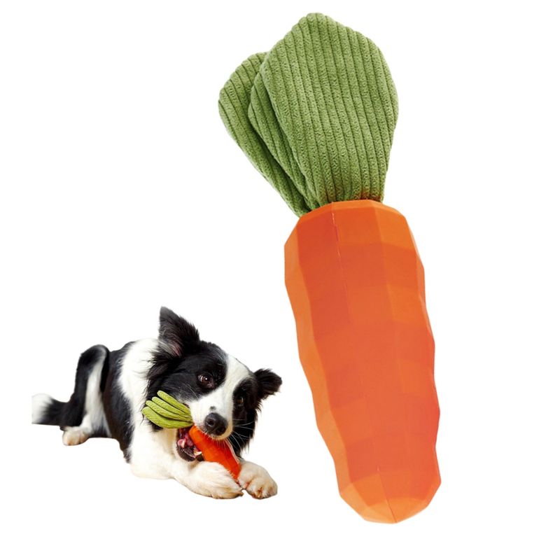 IntiMeg Carotte sonore pour chien