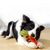 IntiMeg Carotte sonore pour chien