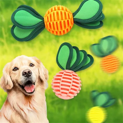 IntiMeg Jouet pour chien en TPU - Formes de bonbons