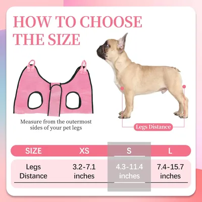 UAMLY Hamac de toilettage pour chien, avec sangle de sécurité