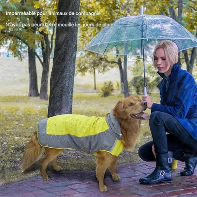 IntiMeg Regenmantel für Hunde mit Kapuze IntiMeg Regenmantel für Hunde mit Kapuze