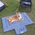 IntiMeg Tapis pliable pour chien