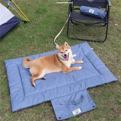 IntiMeg Faltbare Hundematte