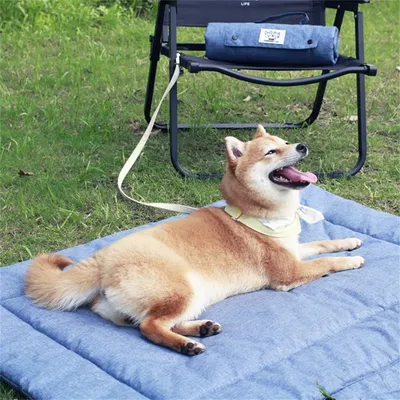IntiMeg Faltbare Hundematte