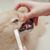 Stylo Brosse à Dents pour Chat et Chien Outil de Nettoyage Dentaire