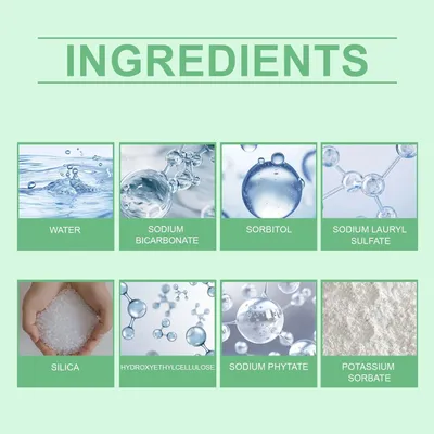 Stylo Brosse à Dents pour Chat et Chien Outil de Nettoyage Dentaire