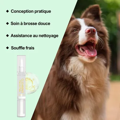 Stylo Brosse à Dents pour Chat et Chien Outil de Nettoyage Dentaire