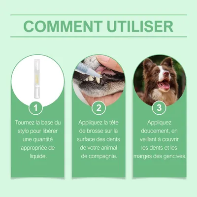 Stylo Brosse à Dents pour Chat et Chien Outil de Nettoyage Dentaire