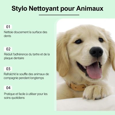 Stylo Brosse à Dents pour Chat et Chien Outil de Nettoyage Dentaire