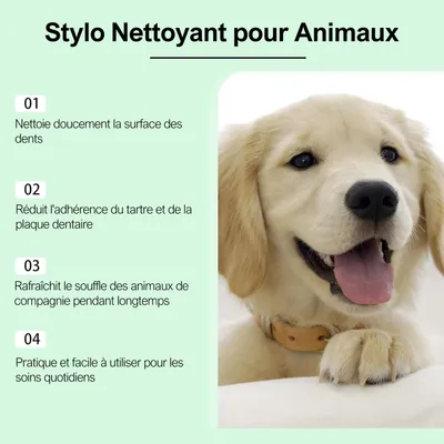 Stylo Brosse à Dents pour Chat et Chien Outil de Nettoyage Dentaire