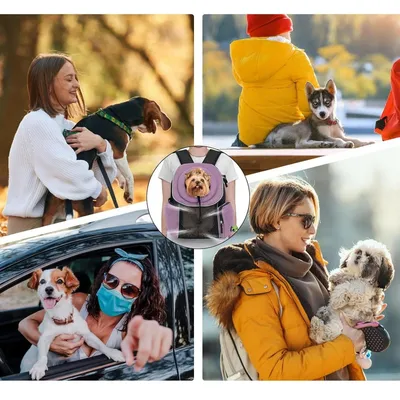 IntiMeg Sac à dos de transport pour chien
