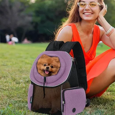IntiMeg Sac à dos de transport pour chien