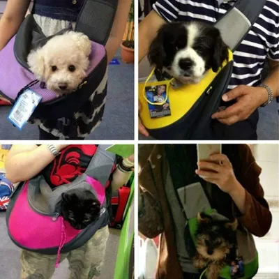 IntiMeg Sac bandoulière pour chat et chien