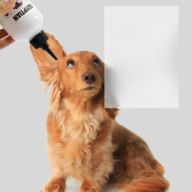 IntiMeg Poudre pour épiler les poils des oreilles