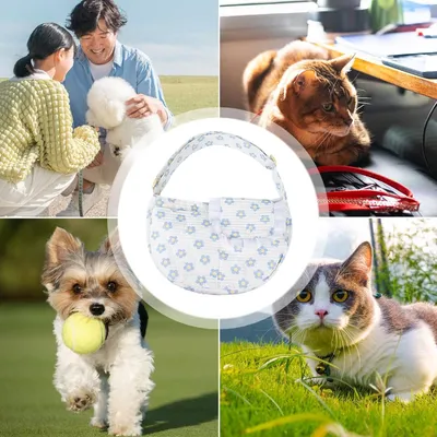 PurrfectFun Sac de Transport Léger pour Chiens et Chiots