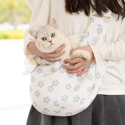 PurrfectFun Sac de Transport Léger pour Chiens et Chiots