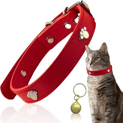IntiMeg Collier pour chat en cuir rouge