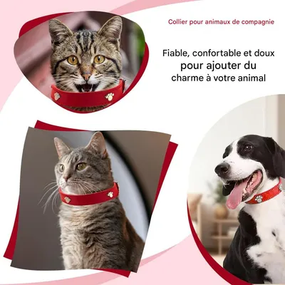 IntiMeg Collier pour chat en cuir rouge