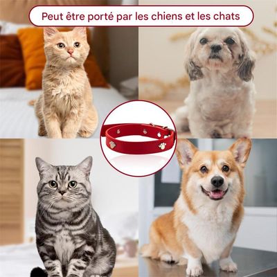 IntiMeg Collar de gato de cuero rojo