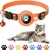 Collier pour Chat et Petits Chiens - Compatible Airtag Apple