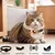Collier pour Chat et Petits Chiens - Compatible Airtag Apple