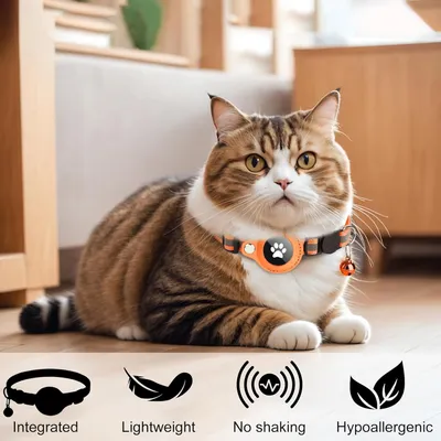Collier pour Chat et Petits Chiens - Compatible Airtag Apple