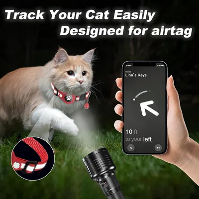 Collier pour Chat et Petits Chiens - Compatible Airtag Apple