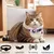 Collier pour Chat et Petits Chiens - Compatible Airtag Apple