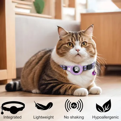 Collier pour Chat et Petits Chiens - Compatible Airtag Apple