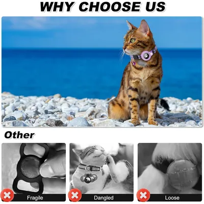 Collier pour Chat et Petits Chiens - Compatible Airtag Apple
