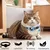 Collier pour Chat et Petits Chiens - Compatible Airtag Apple
