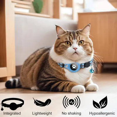 Collier pour Chat et Petits Chiens - Compatible Airtag Apple