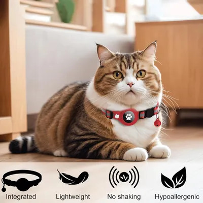 Collier pour Chat et Petits Chiens - Compatible Airtag Apple