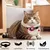 Collier pour Chat et Petits Chiens - Compatible Airtag Apple