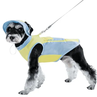 IntiMeg Gilet rafraîchissant pour chien en été IntiMeg Gilet rafraîchissant pour chien en été