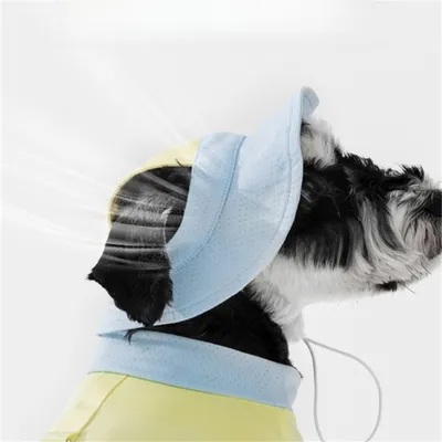 IntiMeg Kühlweste für Hunde im Sommer IntiMeg Kühlweste für Hunde im Sommer