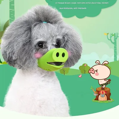 IntiMeg Muselière pour chien à nez de cochon