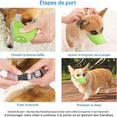 IntiMeg Muselière pour chien à nez de cochon