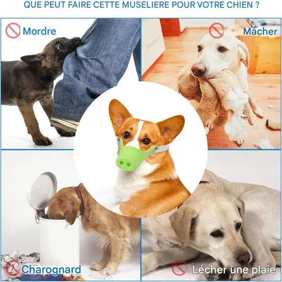 IntiMeg Muselière pour chien à nez de cochon