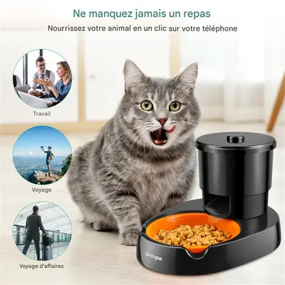 IntiMeg Distributeur de nourriture pour chat